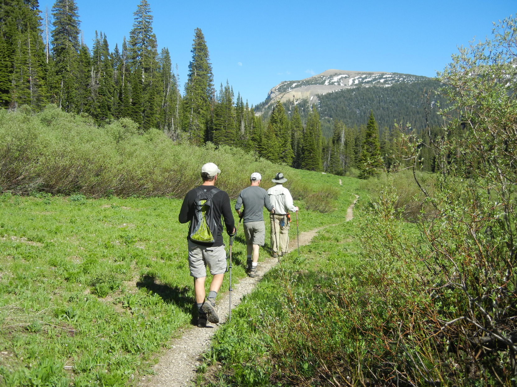 Tetons hiking on green trail